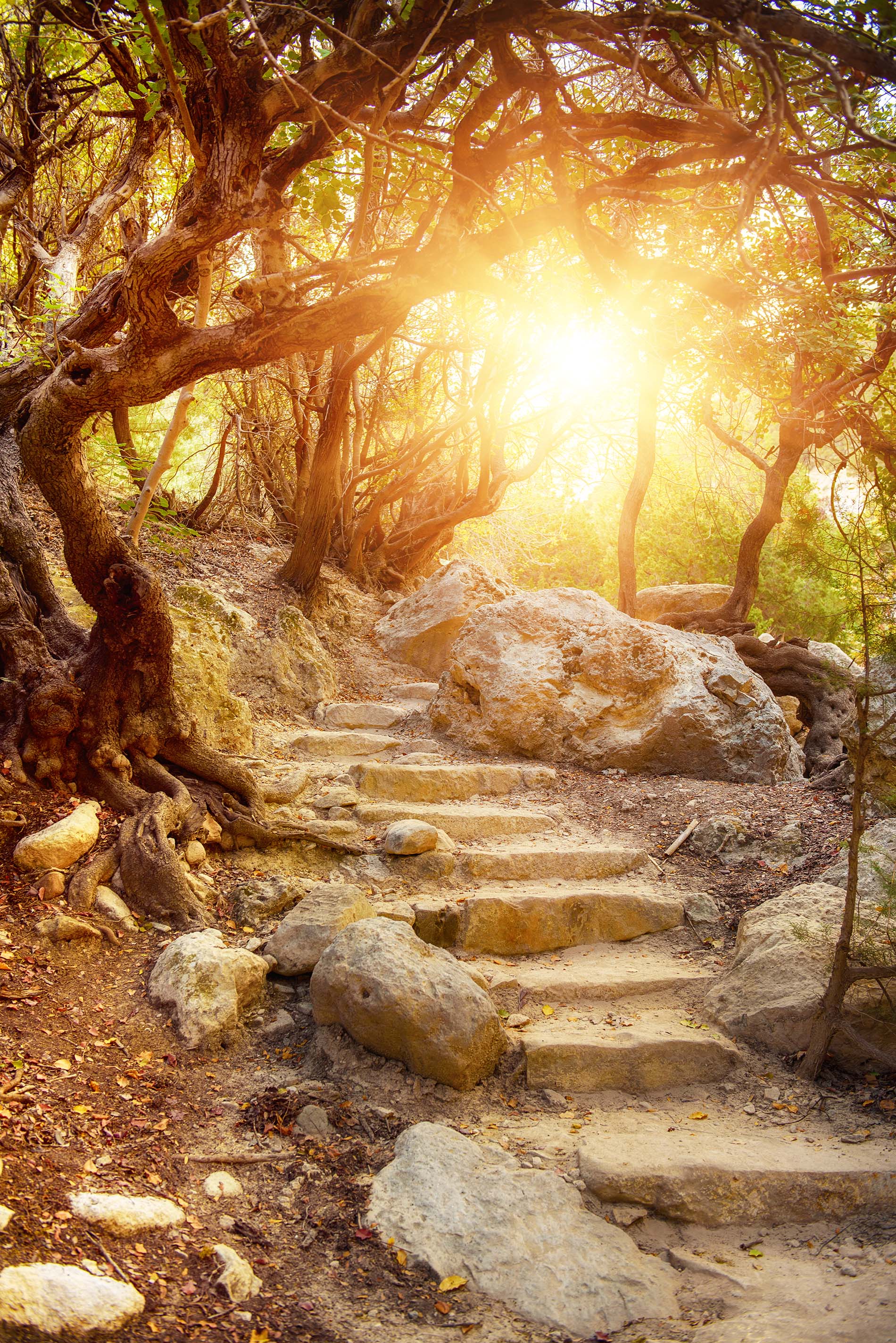 Dream stairs