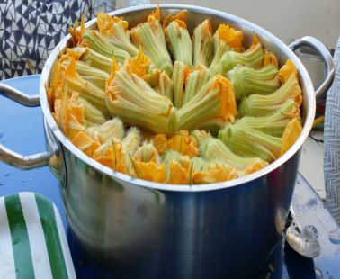 Stuffed zucchini blossoms recipe