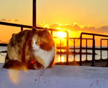 The Special Sunrise in Limassol