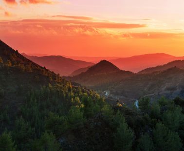 Cyprus Forests are beautiful