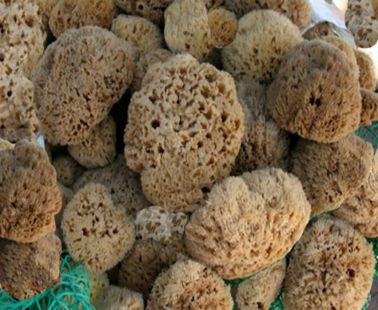 Cypriot sea sponge - Kapadiko natural sea sponge