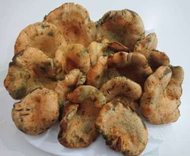 Mountain red mushrooms with wine