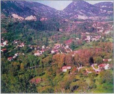 Παναγία η Πλατανιώτισσα στην Ελλάδα