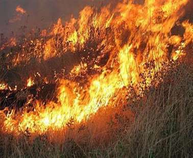 Δασική πυρκαγιά σε περιοχή της κοινότητας Μαθιάτη