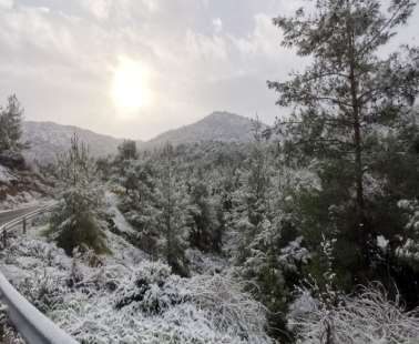 Μαγευτικές εικόνες: Χιονισμένο τοπίο στον Μαχαιρά - ΦΩΤΟΓΡΑΦΙΕΣ και ΒΙΝΤΕΟ έξω από το Λυθροδόντα