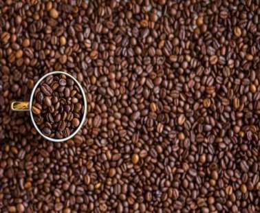 Types of coffee and their origin