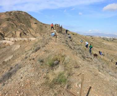 300,000 Trees in Nicosia, 4,722 trees have been planted
