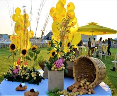 8th Nationwide Potato Festival