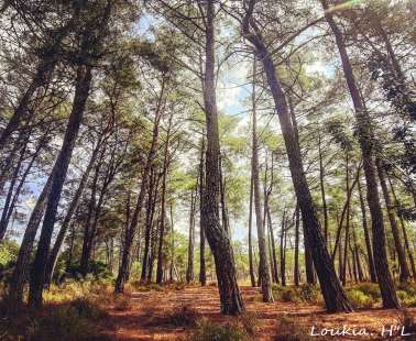 Hiking για πρώτη φορά στον Κόρνο… για τους λάτρεις της φύσης και της εξόρμησης!