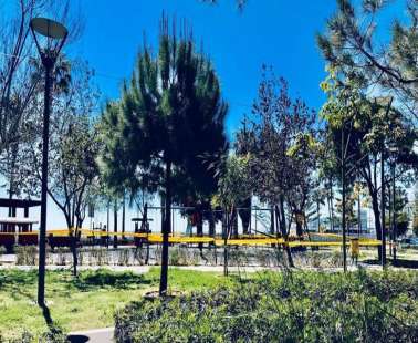 Δήμαρχος Λεμεσού: Σφραγίσαμε παιδότοπους και χώρους στάθμευσης