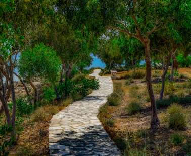 Αγία Νάπα: Βραβείο Πράσινης Πόλης 2018