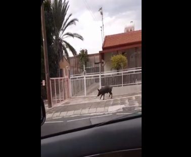 Το έζησαν κι αυτό: