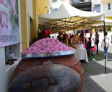 11 Τhe rose festival - Μay 2017
