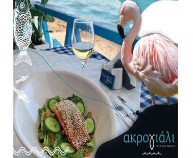 Συνέντευξη με τον ιδιοκτήτη του εστιατoρίου «Ακρογιάλι» στο Μενεού