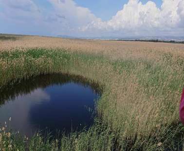 Akrotiri Marsh, a unique natural wetland within the Akrotiri Peninsula
