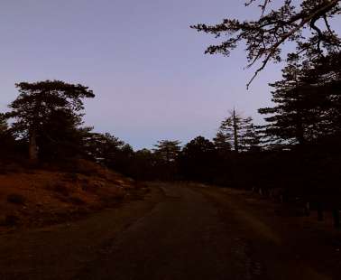 A walk in Almirolivado