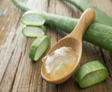 Aloe the miracle of nature
