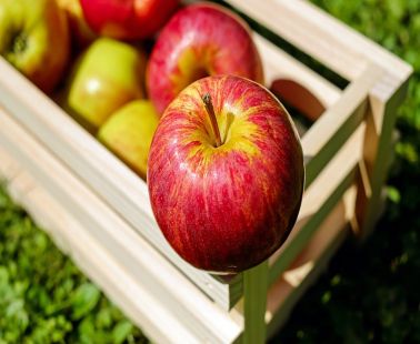Let's go to the Apple Festival