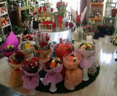 Interview with the owners of Arocaria Flower Shop in Ayia Napa