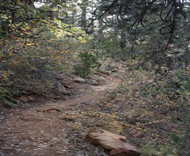 Artemis Trail, Troodos