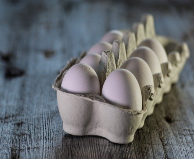 Επιδημία στελέχους Salmonella στην ΕΕ που συνδέεται με αυγά