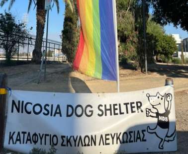 Ομοφοβική επίθεση σε πάρκο της Λευκωσίας«Έσπρωχνε και έβριζε»