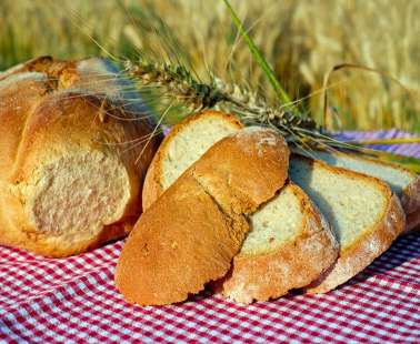 Bread and Cheese Festival