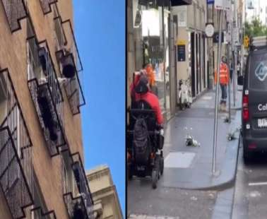Παπαγάλος σκορπά… τρόμο σε γειτονιά