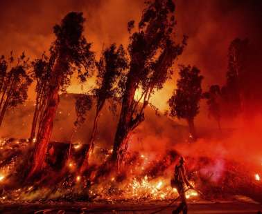 Βίντεο: Η στιγμή της σύλληψης 47χρονου Ελλαδίτη