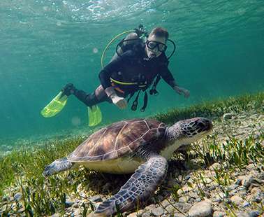 Interview with the Owner of CyDive: From Father to Son, Guided by the Sea