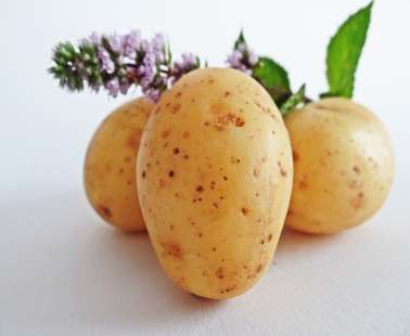 Xylophagou International Potato Festival 2019