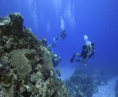 Ecopolis Screening: "Mission Blue" !
