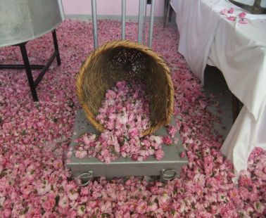 Rose Festival in Agros Village