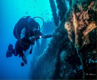 The Alexandria Wreck Cyprus