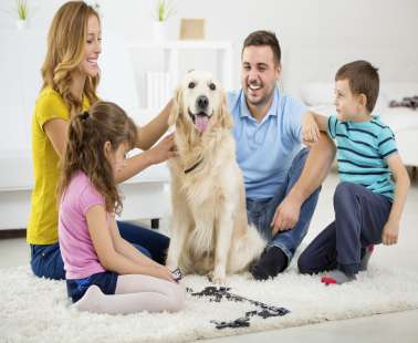 19+1 activities at home