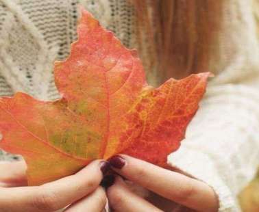 “Hello Autumn” - Unique Arts & Crafts Exhibition