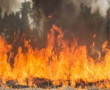 Στο κόκκινο ο συναγερμός για πυρκαγιές