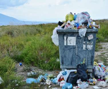 Επίτροπος Περιβάλλοντος