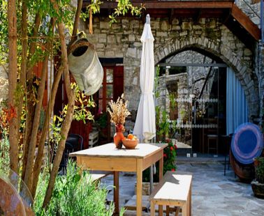 Go on a Wine Tour