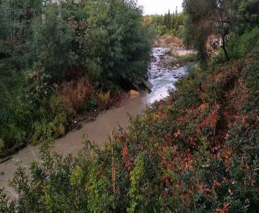 The Linear Park Along the Garyllis River becomes a paradise
