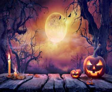 Halloween at Paradox