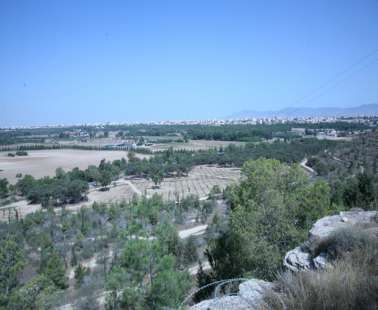 Αγλαντζιά
