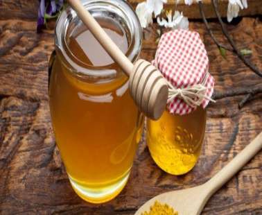 1st Pancyprian Honey & Beekeeping Festival