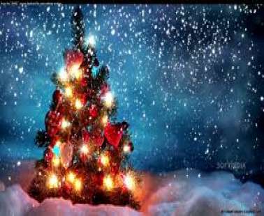 The Christmas Fairyland!