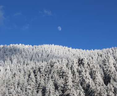 Snowy Mountains of Troodos