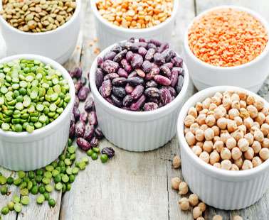 Vegetarian Diet: