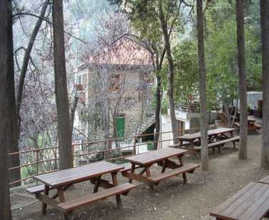 Καταγγελίες για κακομεταχείριση παιδιών σε κατασκηνώσεις