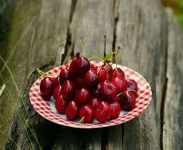 39th Cherry Fest!