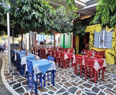 Cypriot cuisine and fresh fish in the most colourful courtyard