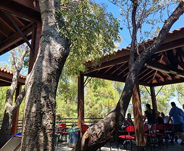 The restaurant in Prodromos, which once fed half of Cyprus, has now moved to Kykko